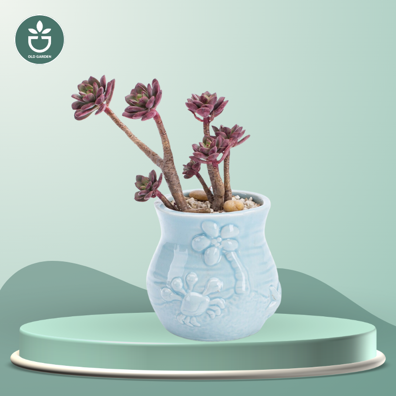European Style Cute Flowerpot Pocelain Blue Fish Flower
