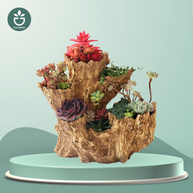 Broken Root Shape Wood Pot