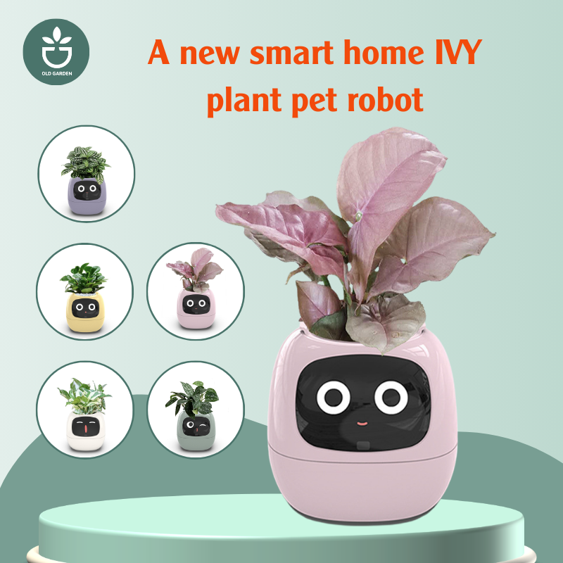 new home plant pot A New smart home IVY plant pet robot Yellow