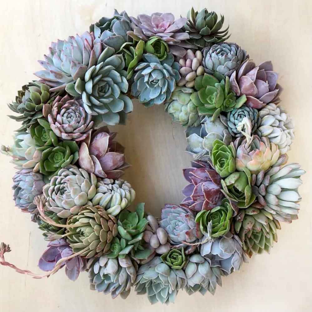 Gigi Succulent Wreath