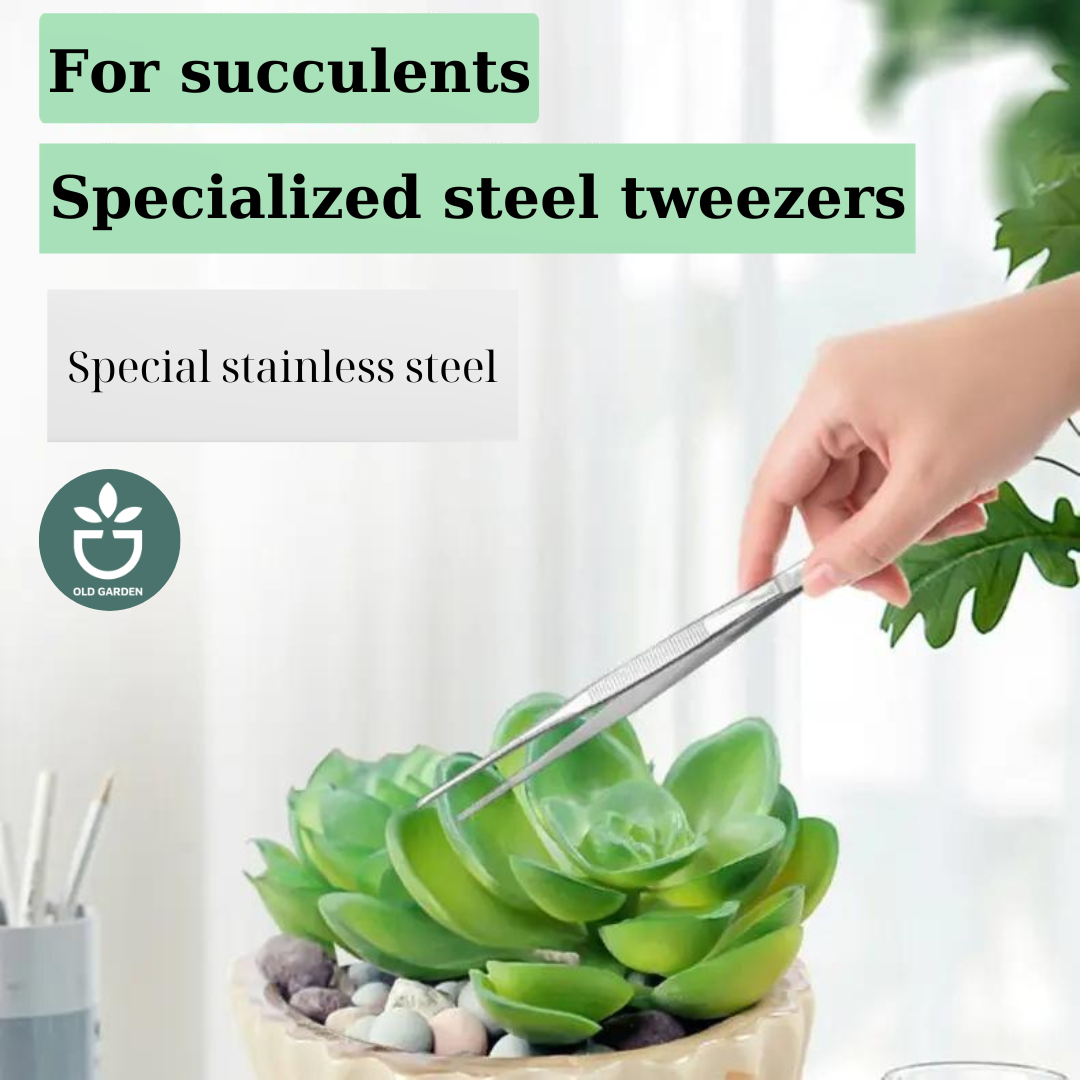 succulent tweezers 304 Stainless Steel Succulent Tweezers 20cm