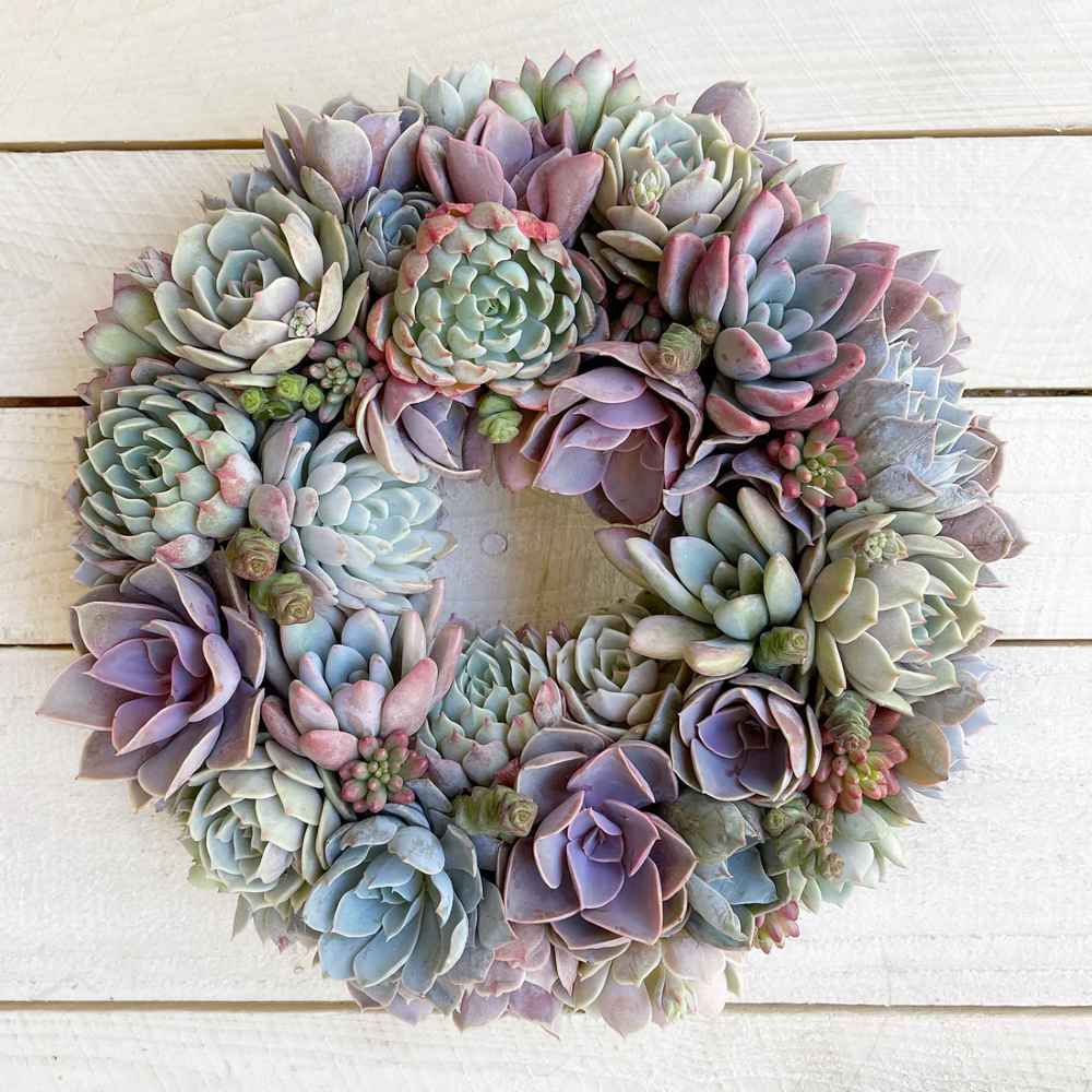 Caroline Succulent Bouquet
