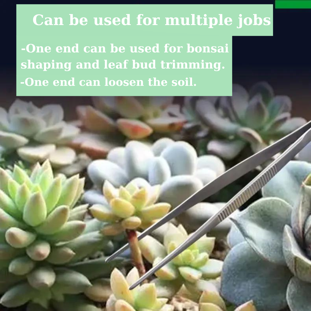 304 Stainless Steel Succulent Tweezers