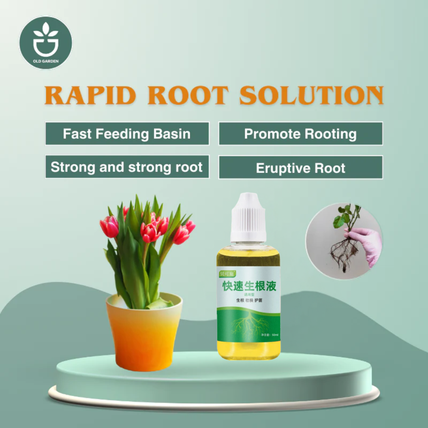 King of roots for plants