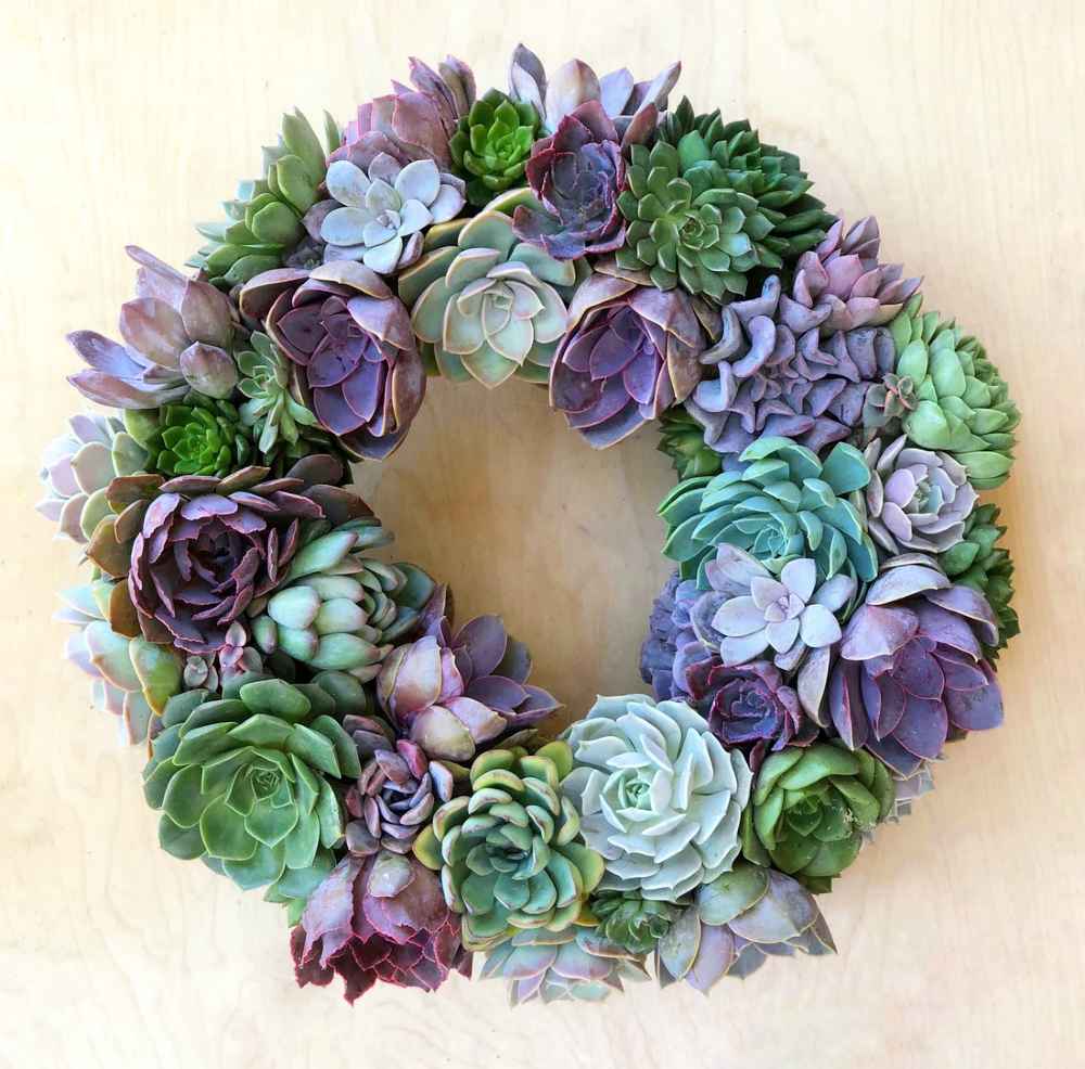 Gigi Succulent Wreath