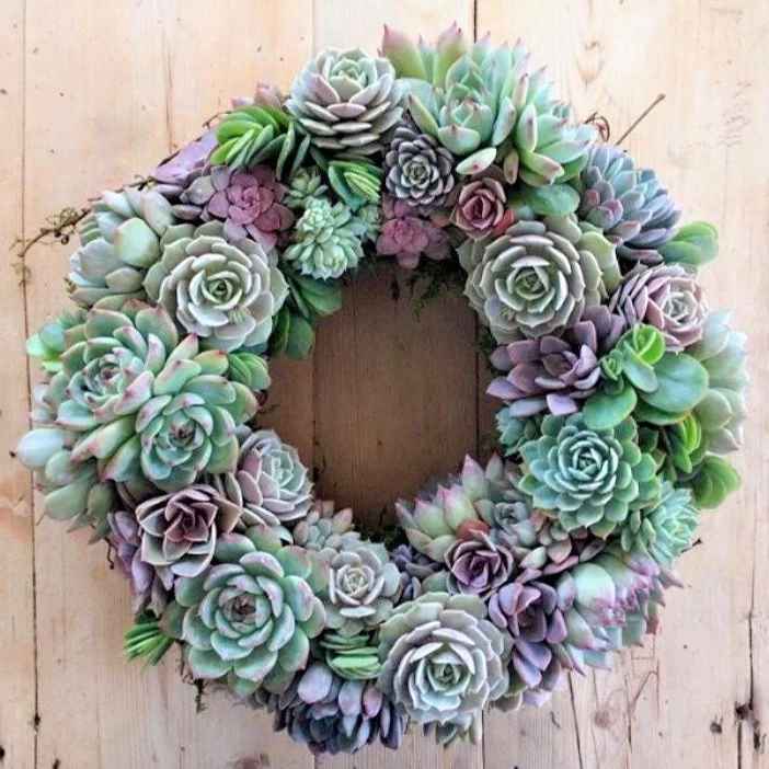 Gigi Succulent Wreath