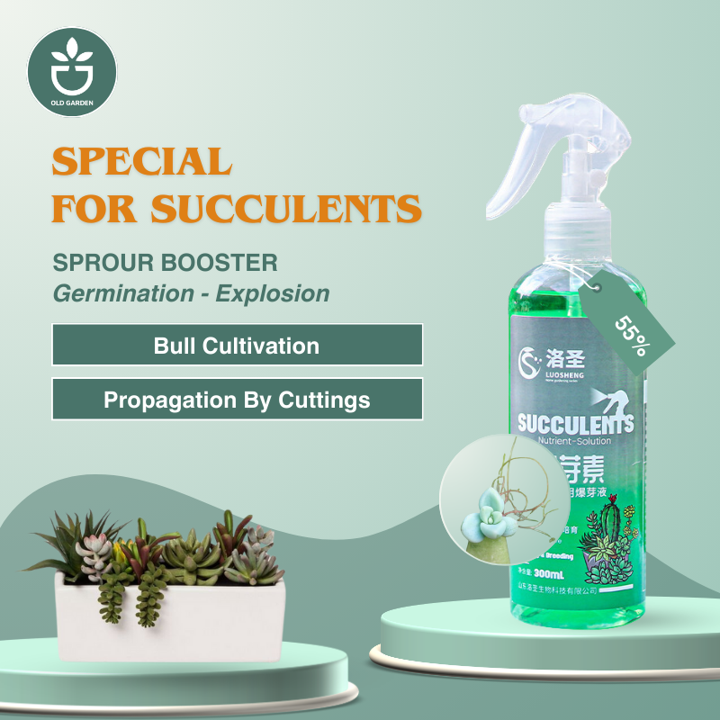 succulent fertilizer spray Bud Fertilizers Succulents Sprout Booster