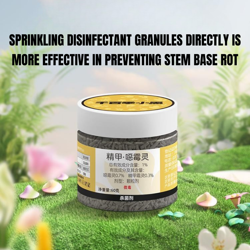 Granular fungicide