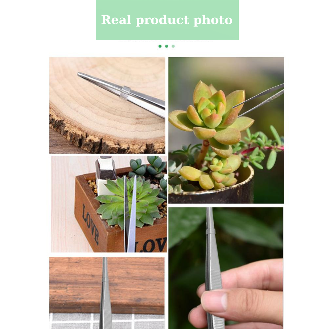 304 Stainless Steel Succulent Tweezers