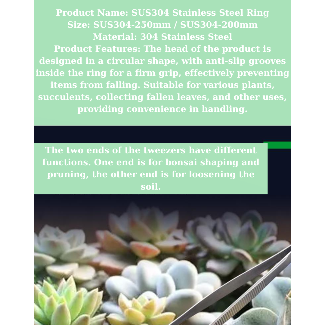 304 Stainless Steel Succulent Tweezers