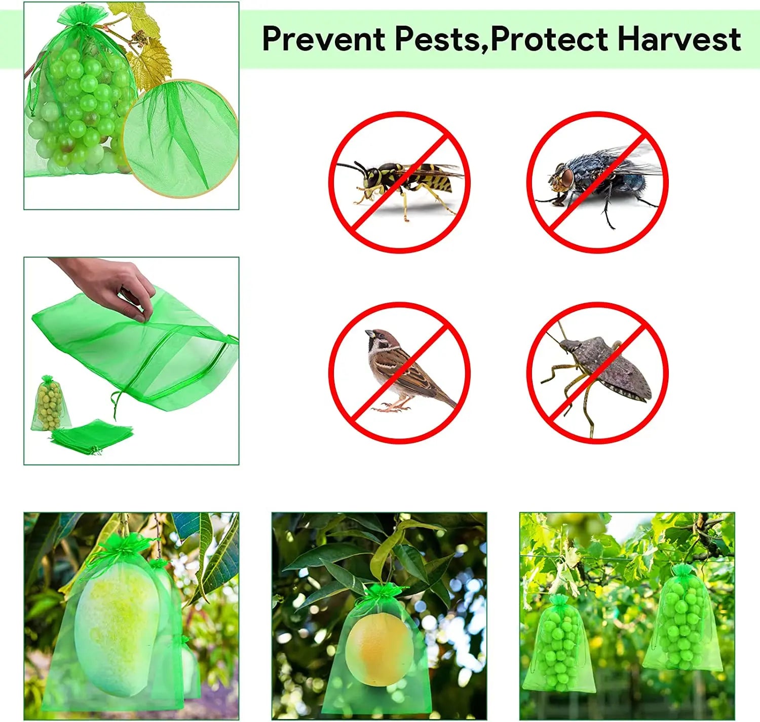 Fruit Protection Bags