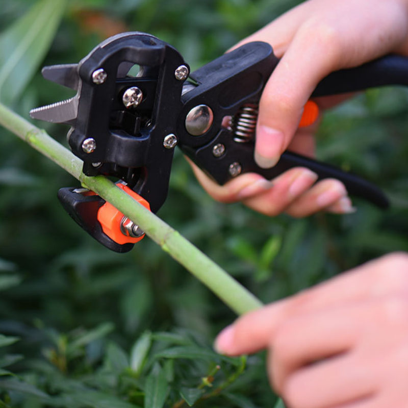 Grafting Pruner 2CM Garden Grafting Tool grafting knife