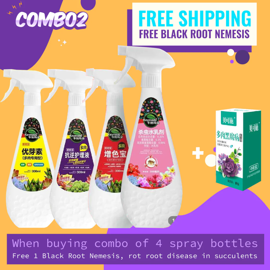 insecticide for succulent plants Succulent Care Combo