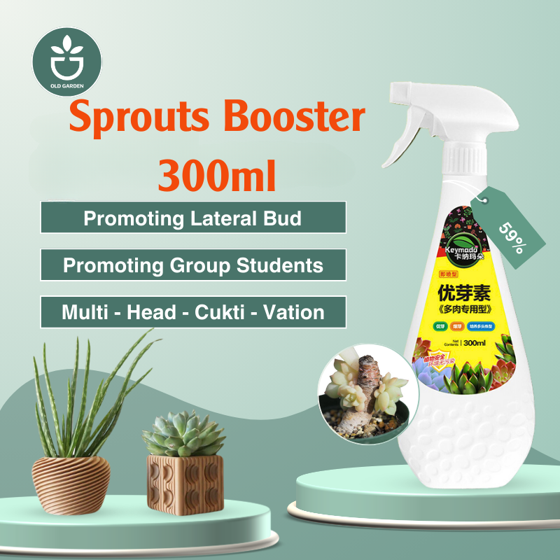 sprout booster for succulents Sprouts Booster 300ml Combo 2 Spray