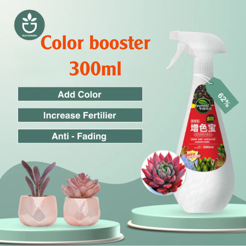 Color Booster 300ml