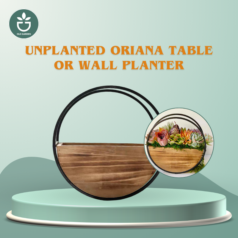 Unplanted Oriana Table or Wall Planter