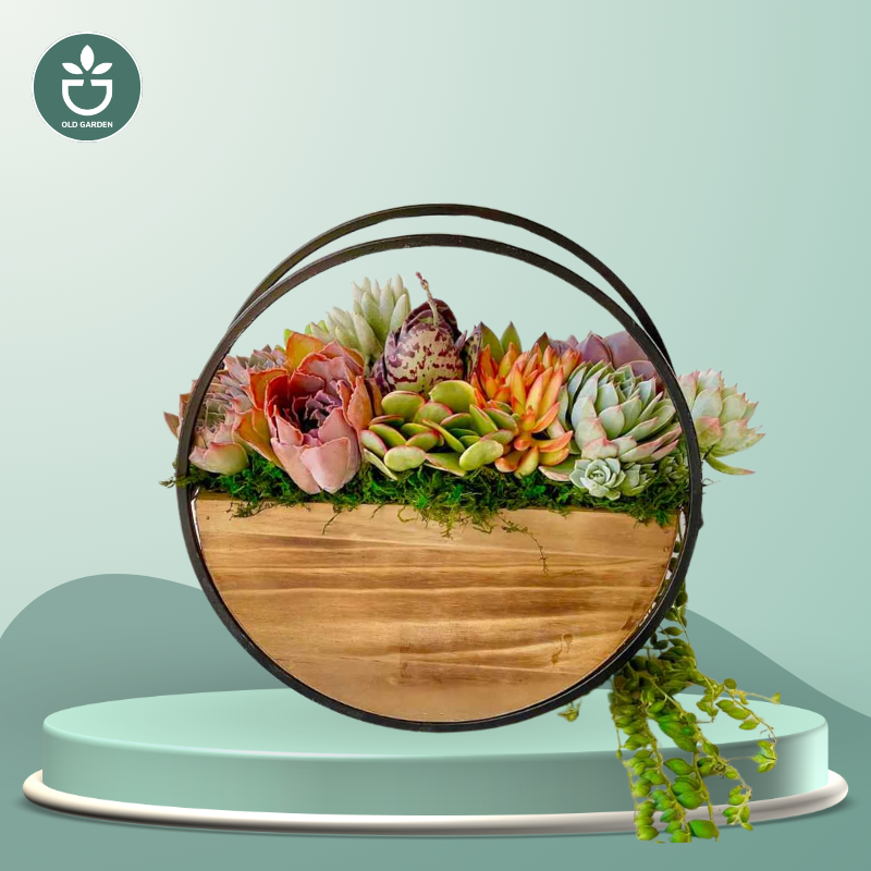 Unplanted Oriana Table or Wall Planter