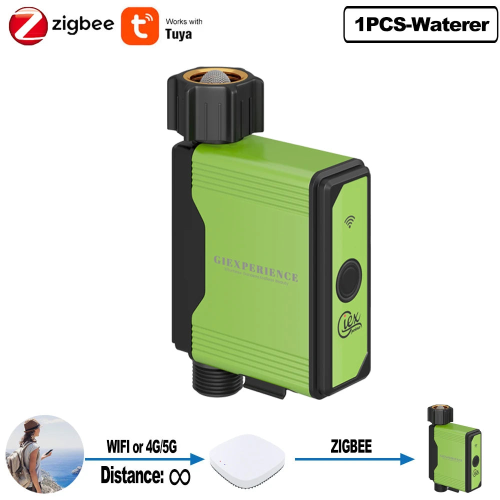 49781615460657|49781615493425