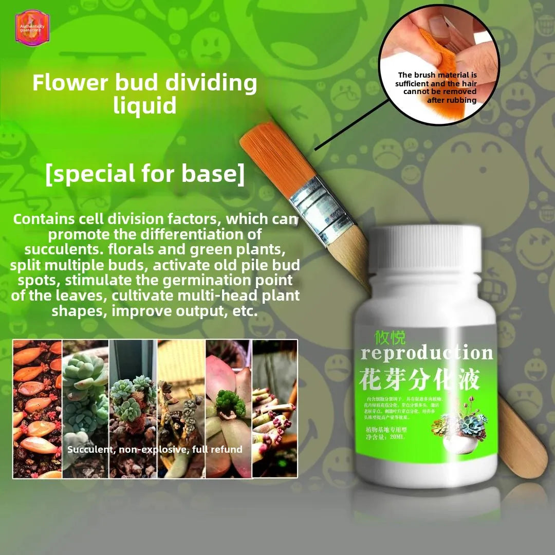 Flower Bud Differentiation Solution for Flowers and Green Plants