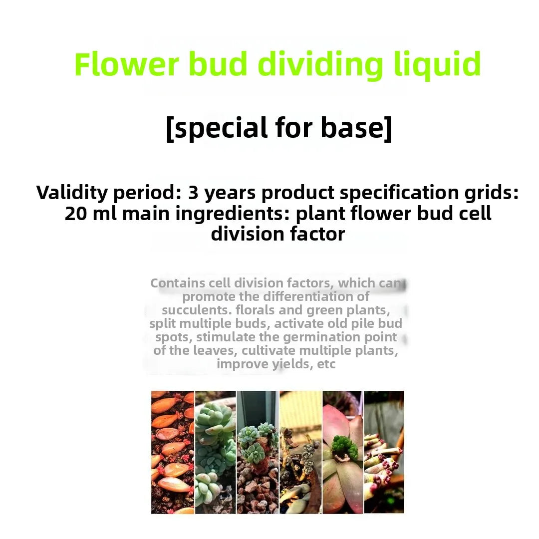 Flower Bud Differentiation Solution for Flowers and Green Plants