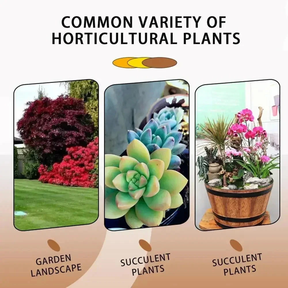 Fast Rooting Stimulator Plant