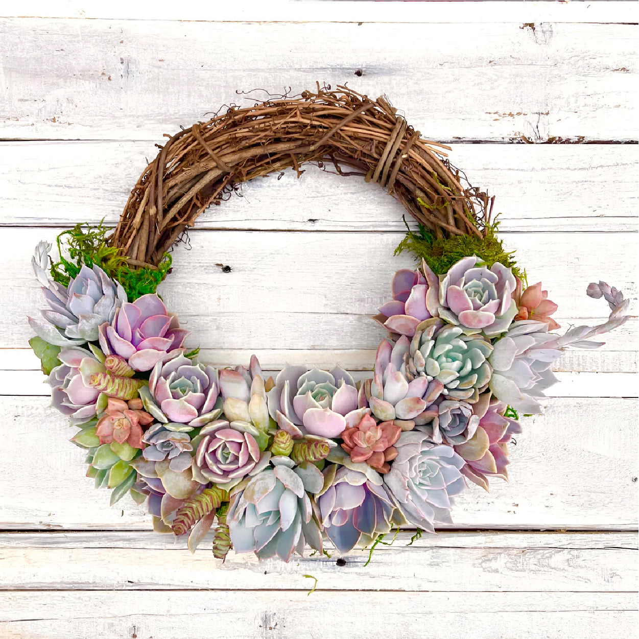 succulent grapevine wreath Emilee Grapevine Wreath Trimmed