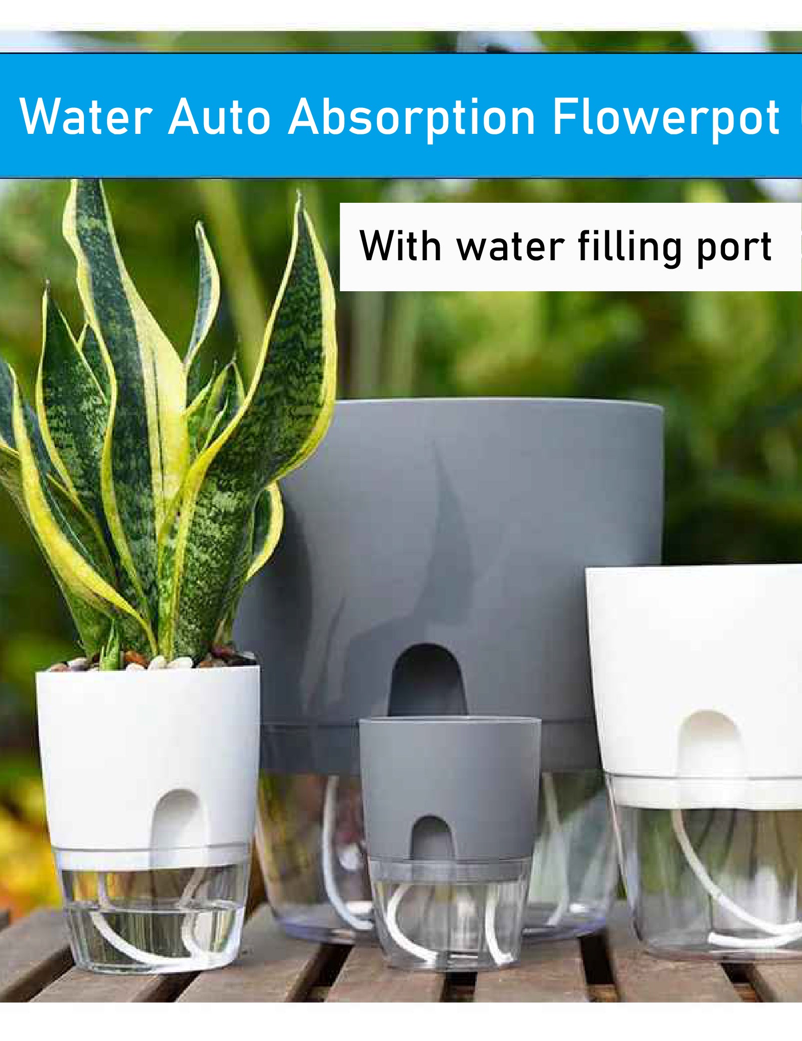 Transparent Double Layer Flower Pot