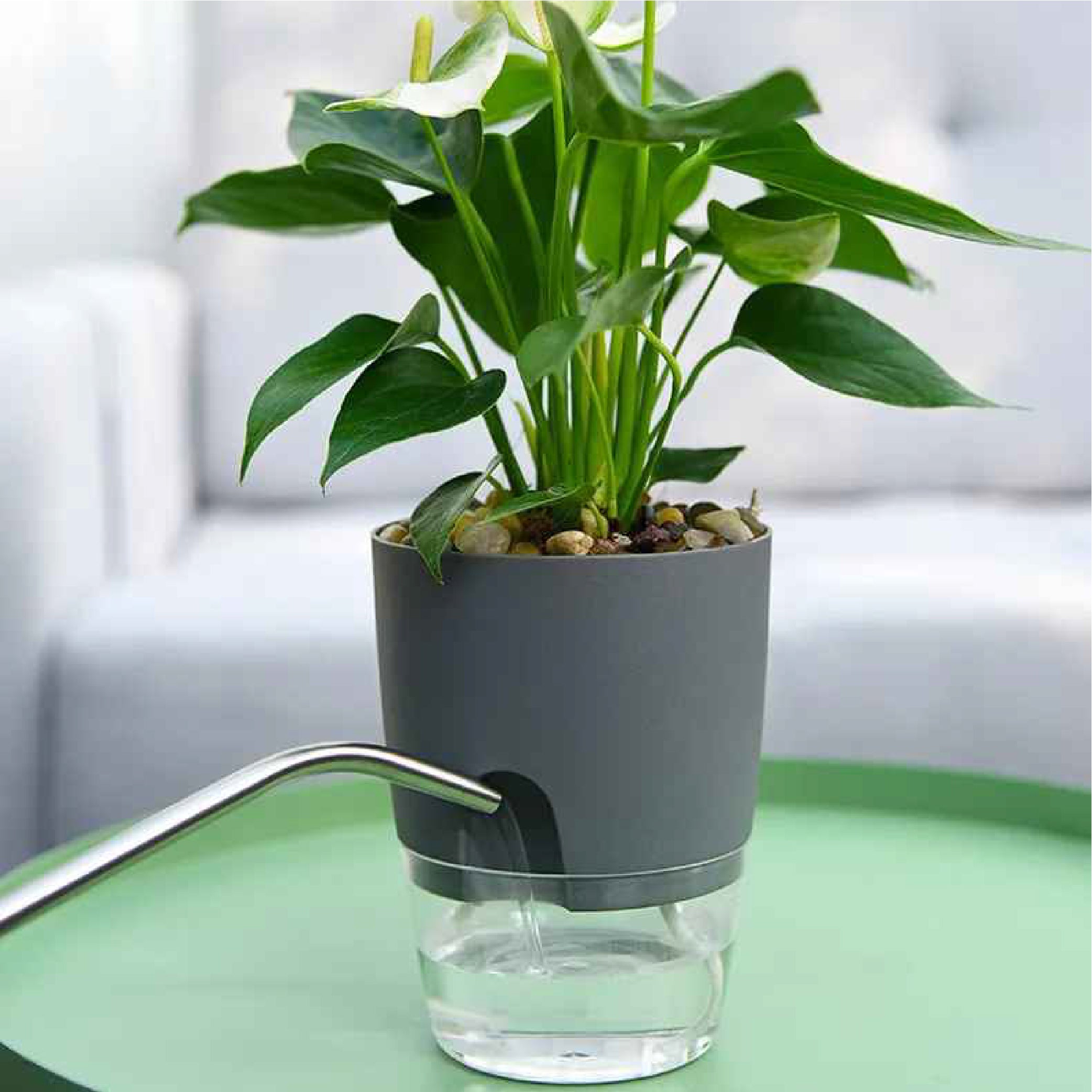 Transparent Double Layer Flower Pot