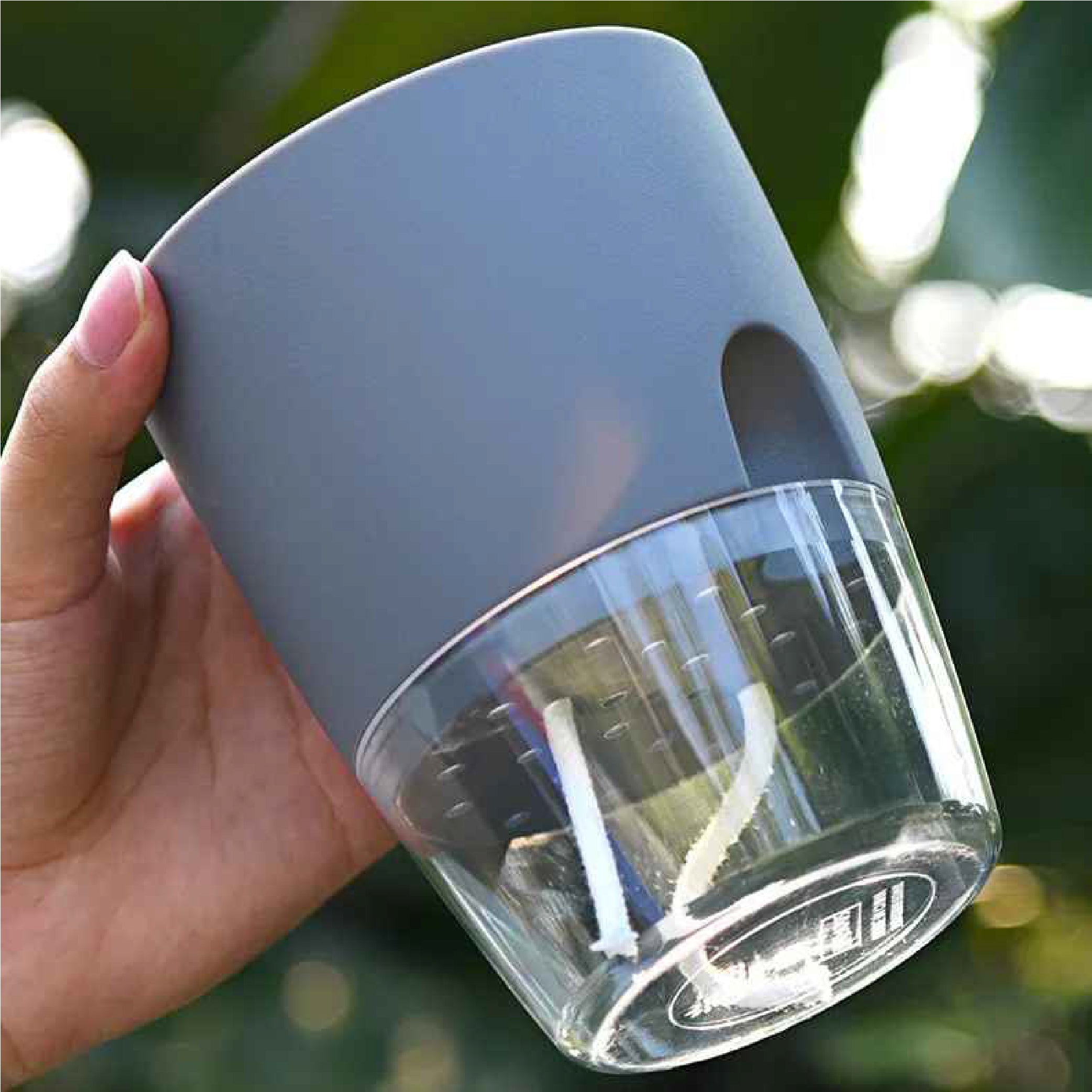 Transparent Double Layer Flower Pot