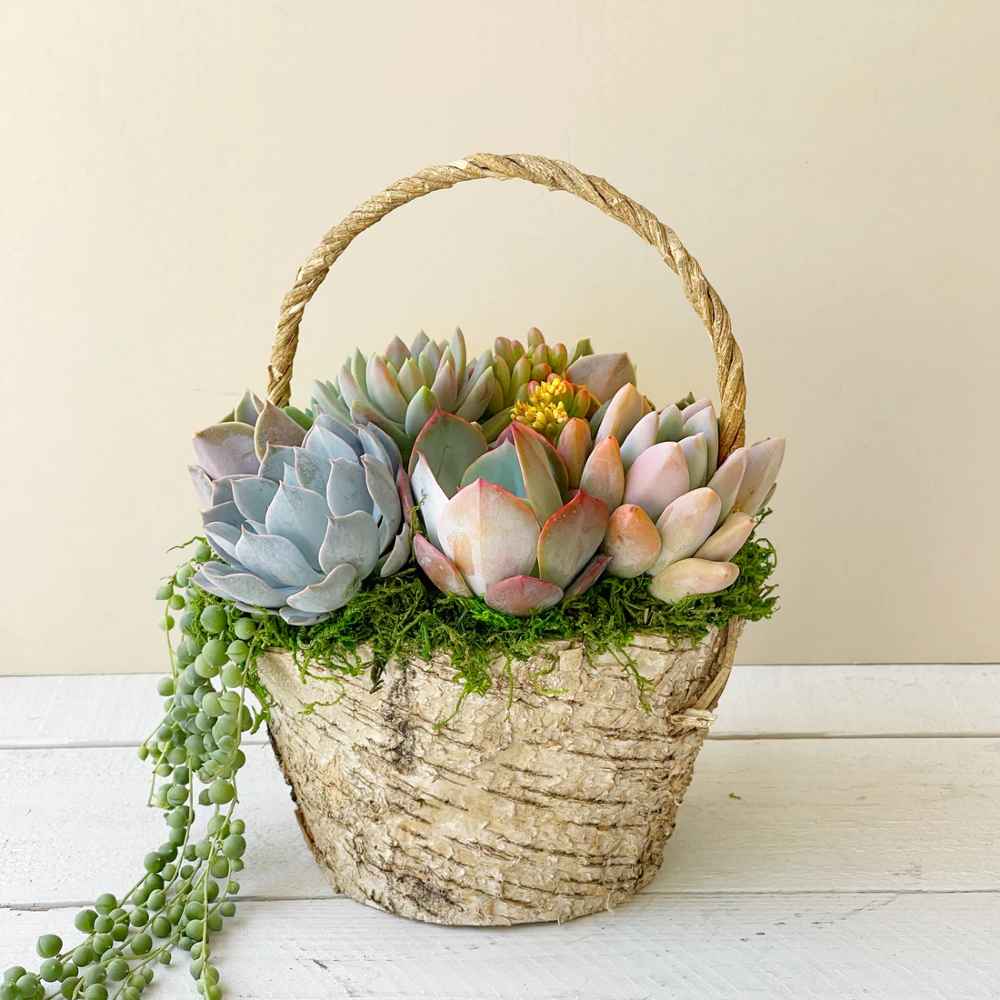 Meadow Basket