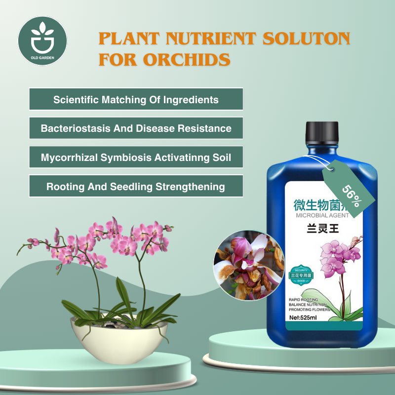 Plant Nutrient Solution for Orchids