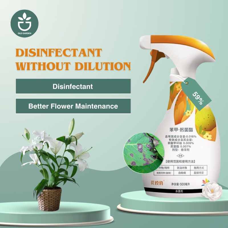 Disinfectant without dilution