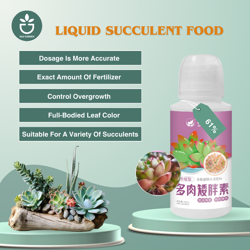 Liquid Succulent Food