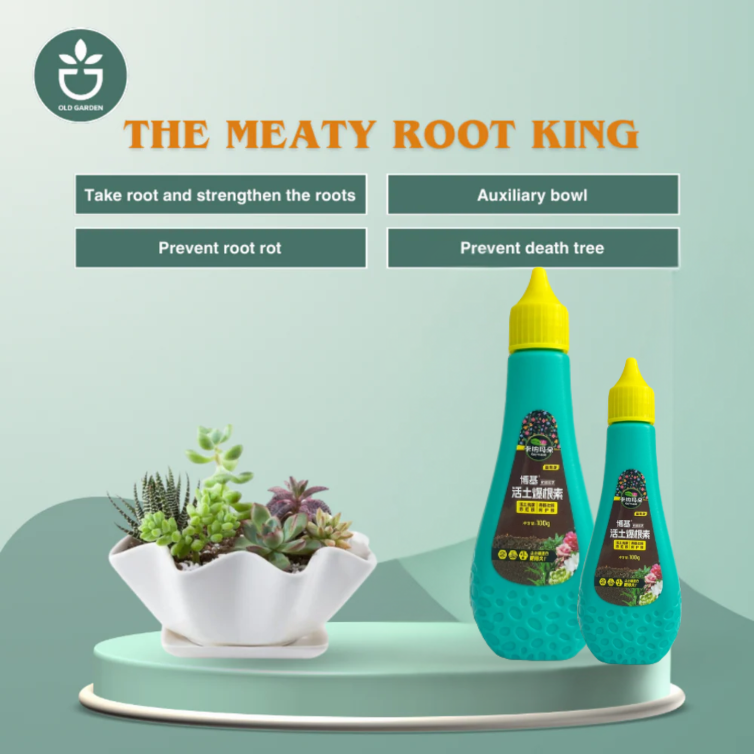 Succulent Root King