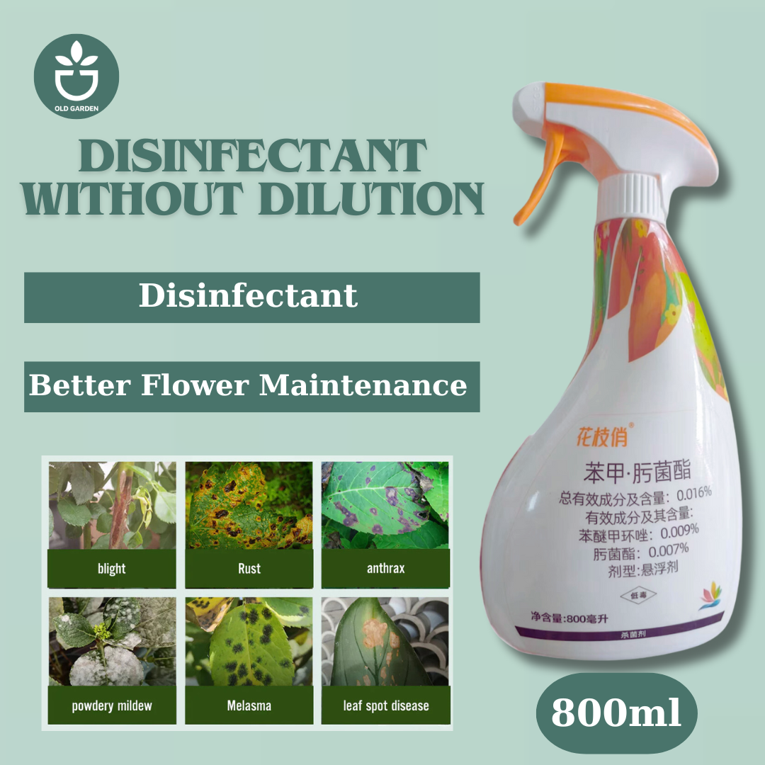 Disinfectant without dilution