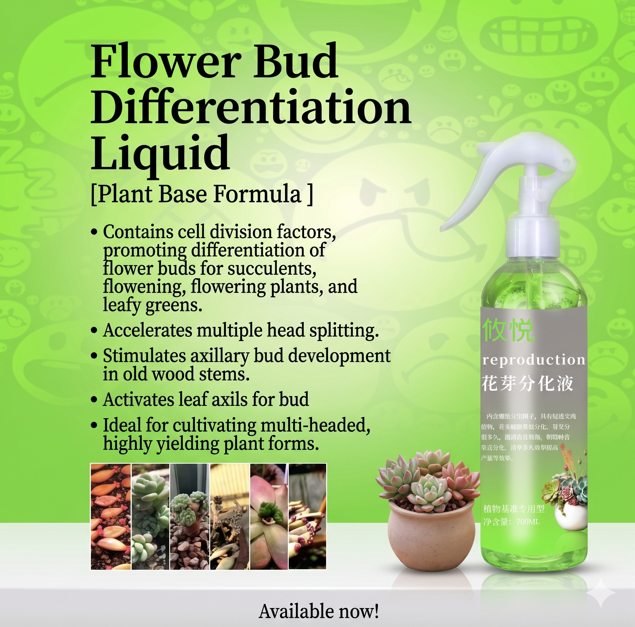 Flower Bud Differentiation Solution
