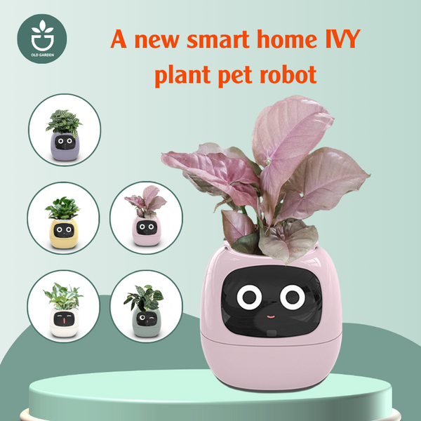 smart plant pot A New smart home IVY plant pet robot Yellow