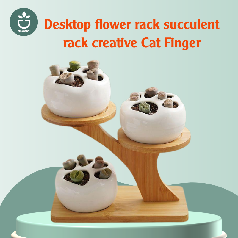 Desktop flower rack succulent rack creative Cat Finger