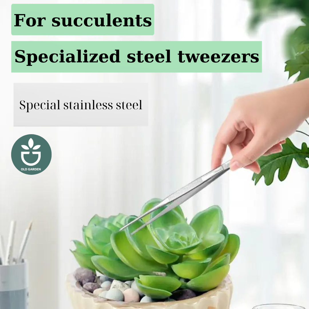 304 Stainless Steel Succulent Tweezers