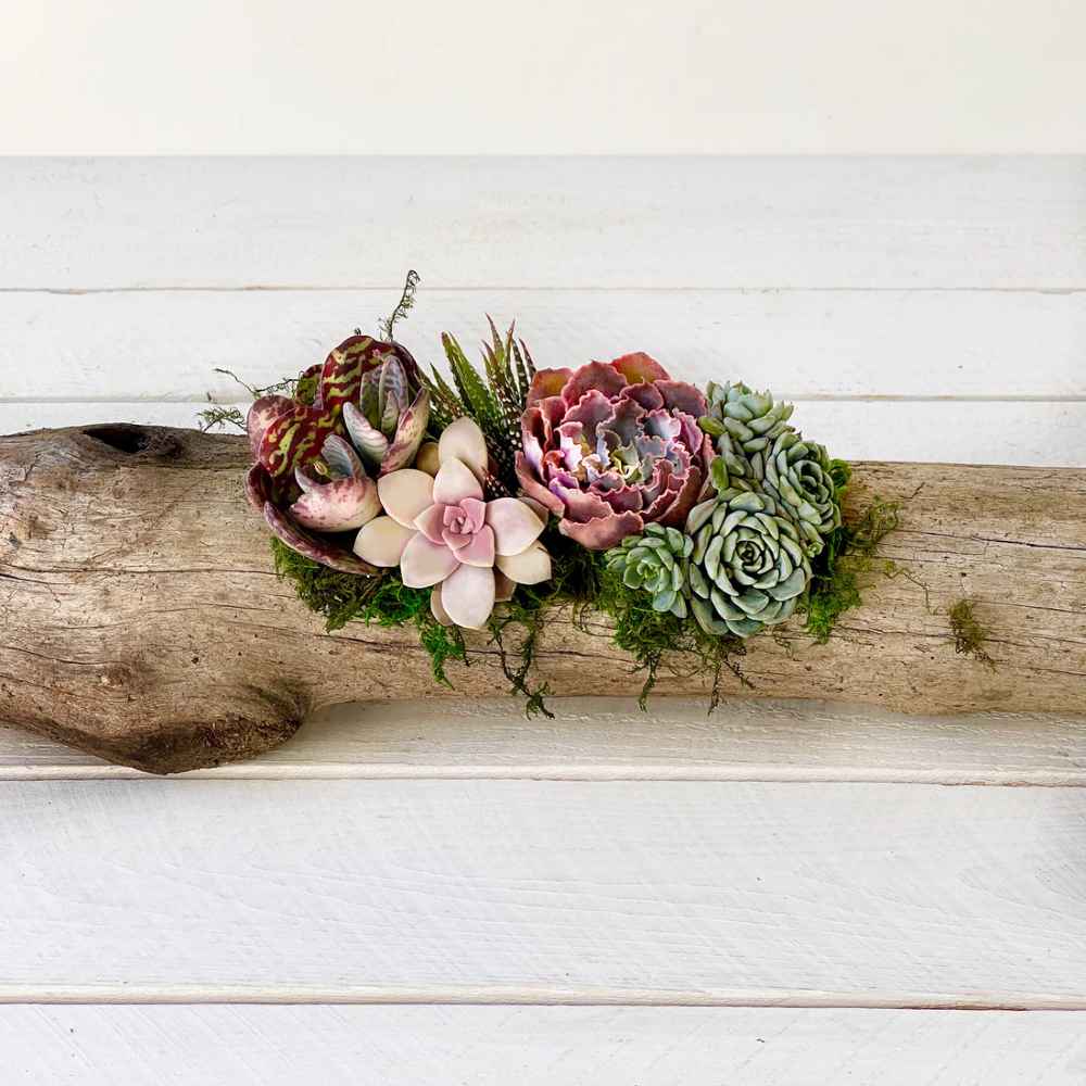 Unplanted Natural Driftwood Planter