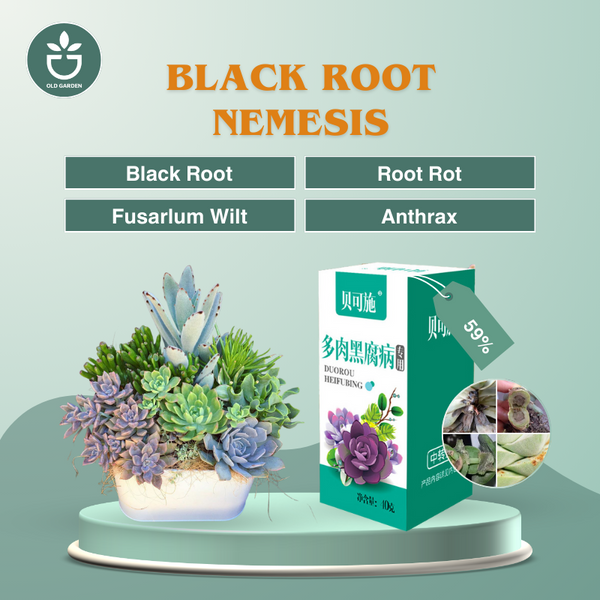 black root nemesis for succulents Black Root Nemesis