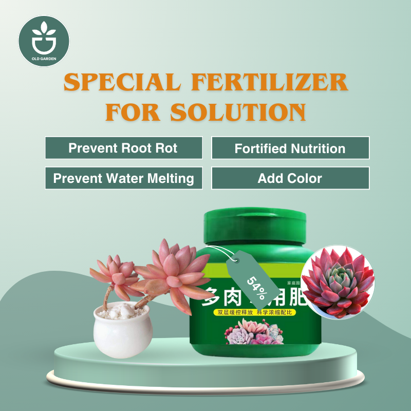 Succulent Color & Bloom Booster