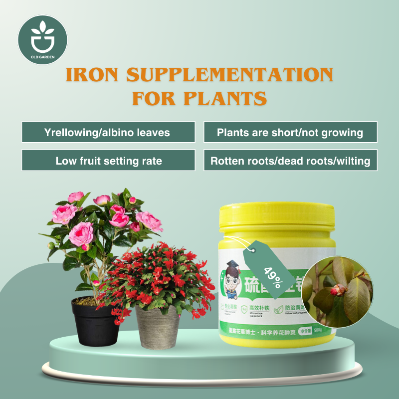 Iron supplementation for plants