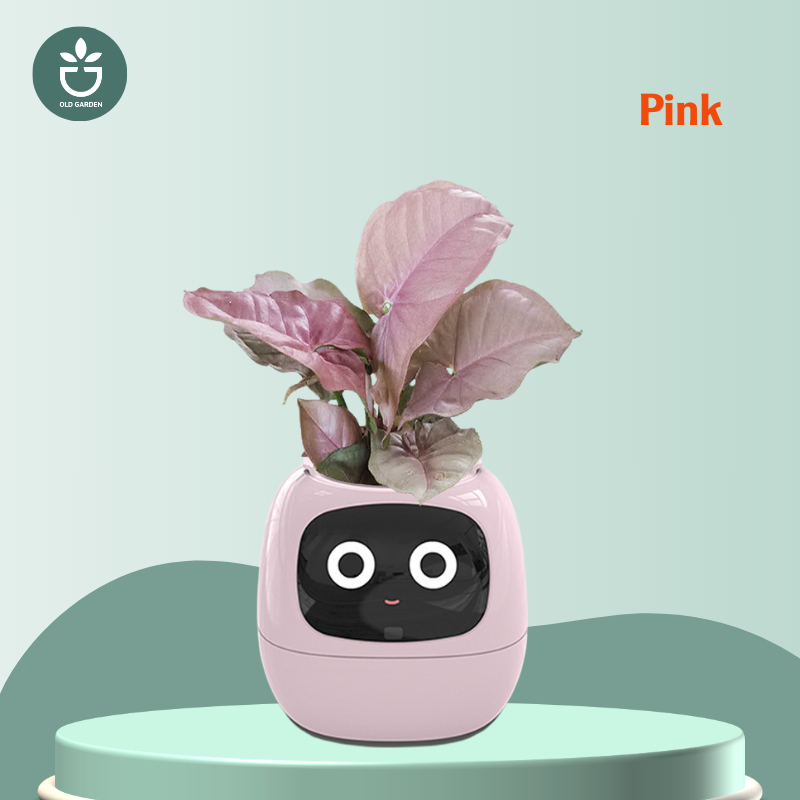 house plant robot A New smart home IVY plant pet robot Pink