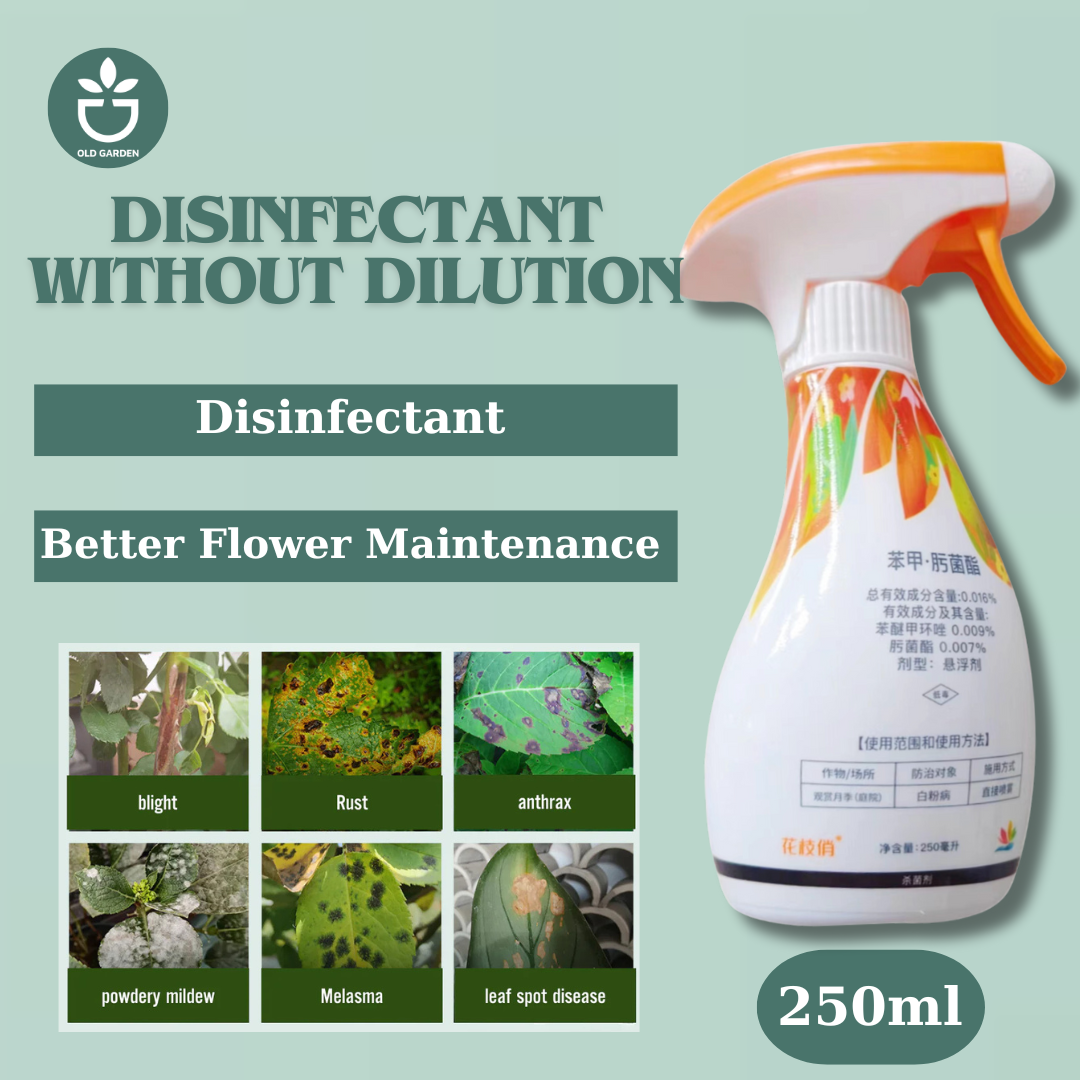 Disinfectant without dilution