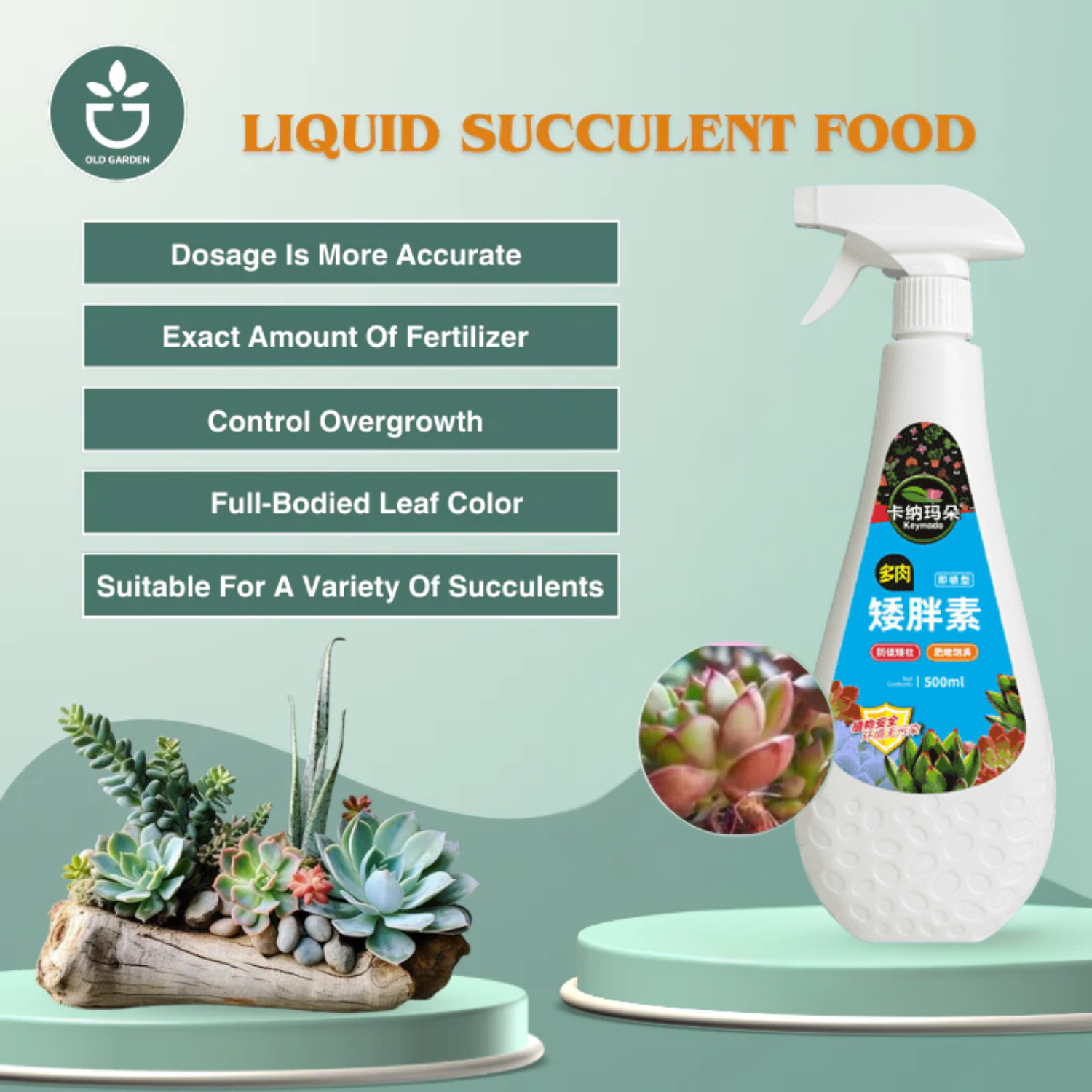 Liquid Succulent Food