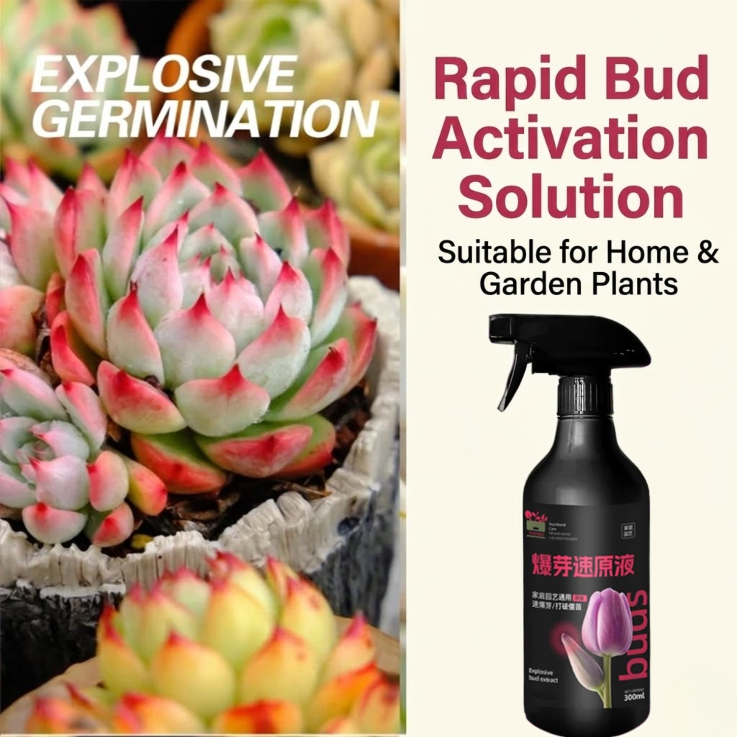 Professional Horticultural Nutrient Solution