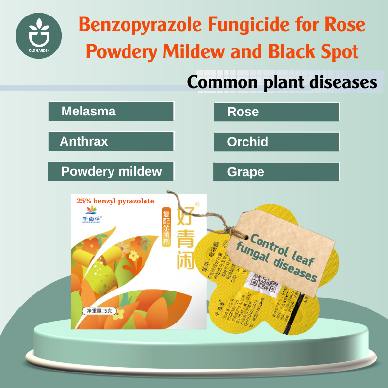 Benzopyrazole Fungicide for Rose Powdery Mildew and Black Spot