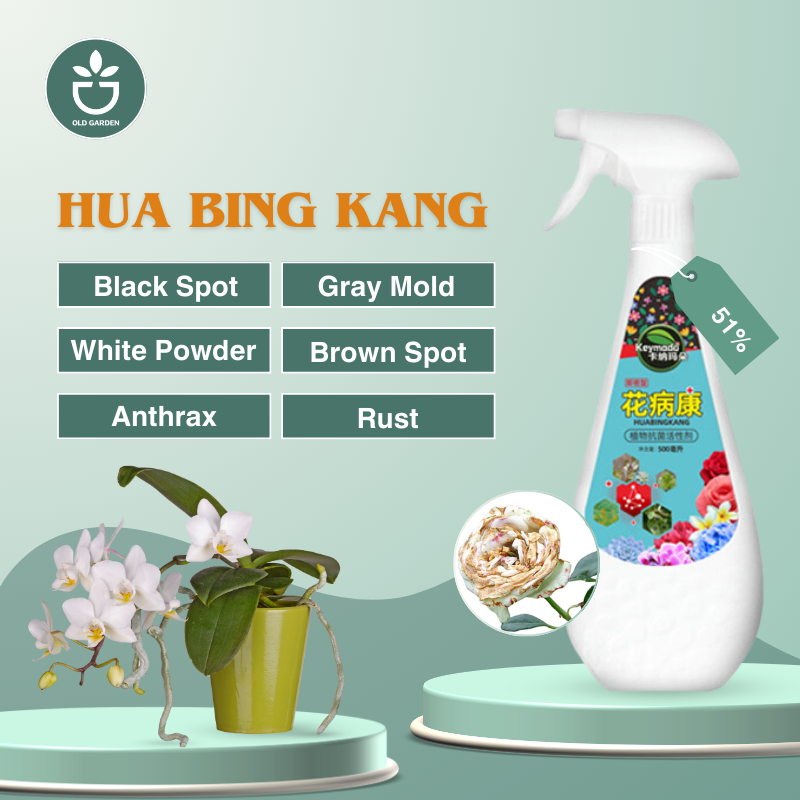 Hua Bing Kang 300ml | Fungicide For Rose Powdery Mildew And Black Spot