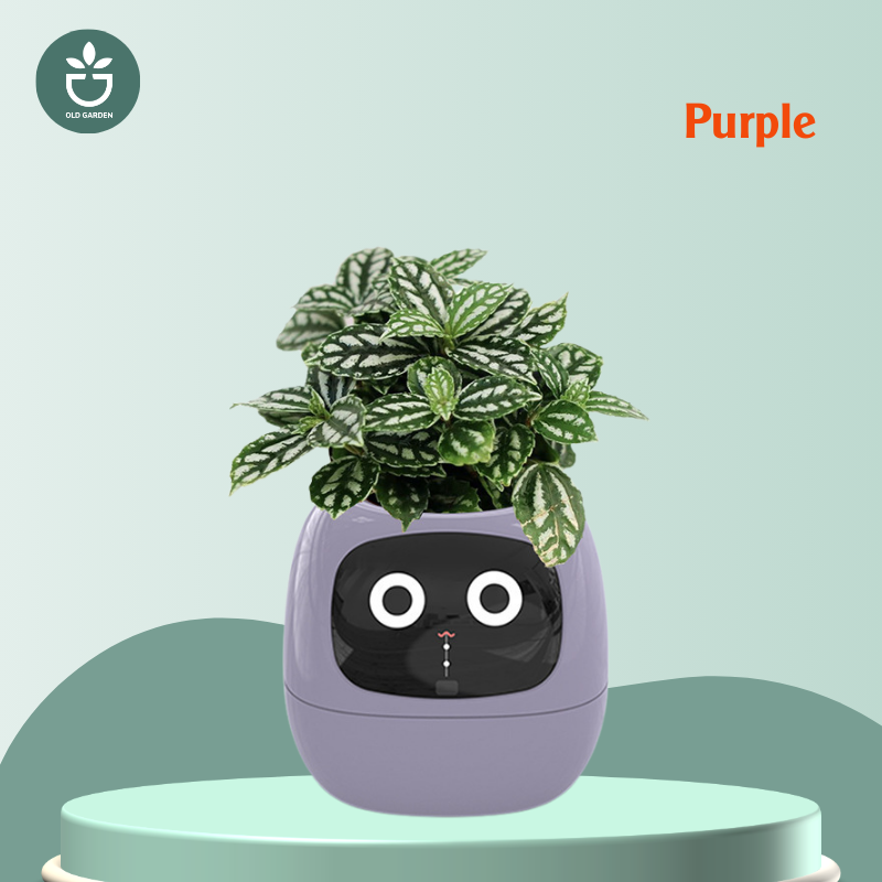 A new smart home IVY plant pet robot